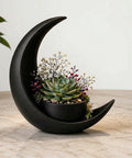 Generic Plastic Crescent Moon Decoration With Elliptical Plant Pot (Black)